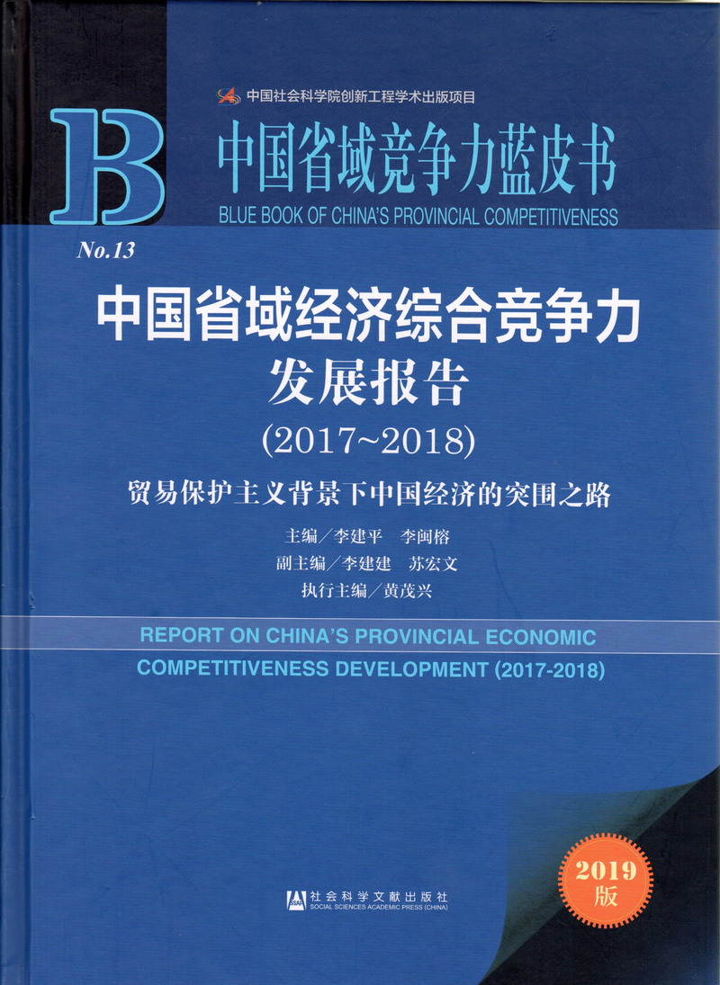 啊～用力cao我cao死我视频中国省域经济综合竞争力发展报告（2017-2018）